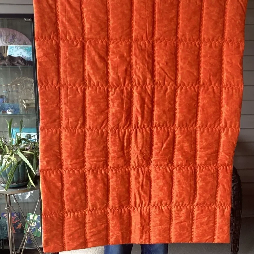 Hand Crafted Brights Fish and Reptile Children’s Quilt